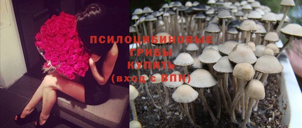 бутират Аркадак