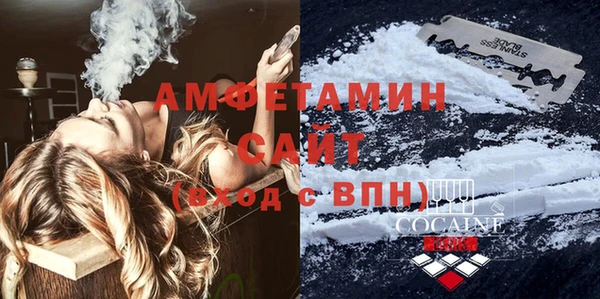 прущие грибы Елабуга